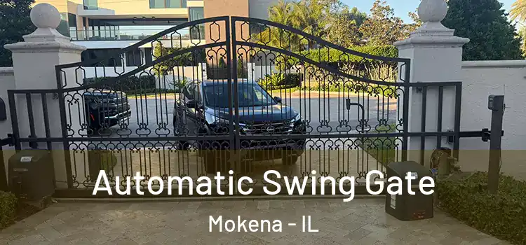  Automatic Swing Gate Mokena - IL