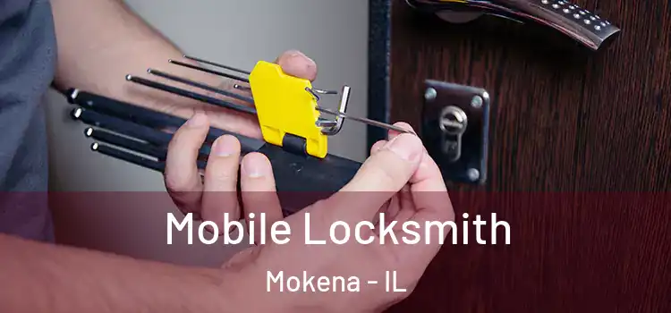  Mobile Locksmith Mokena - IL