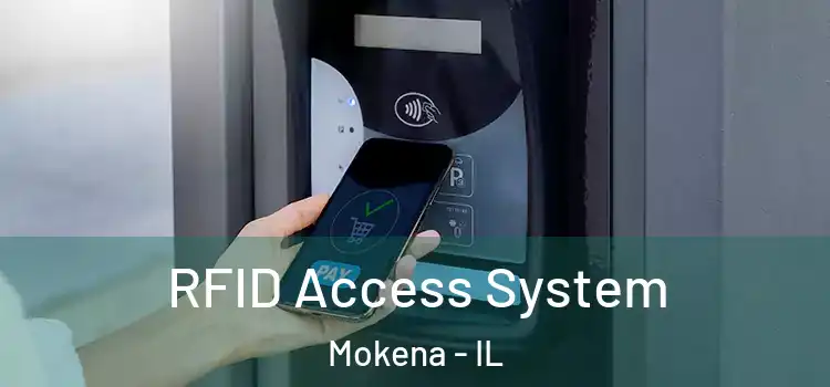  RFID Access System Mokena - IL